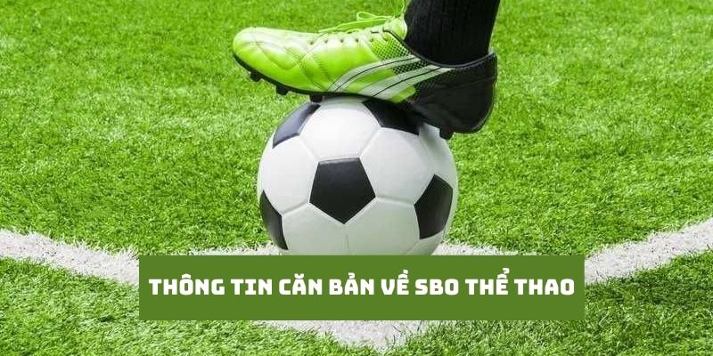 Khái quát thông tin cơ bản về sảnh cược SBO Thể thao Kuwin